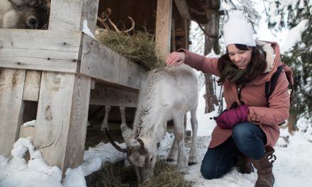 Travelvideo: kerstmis in Zuid-Tirol